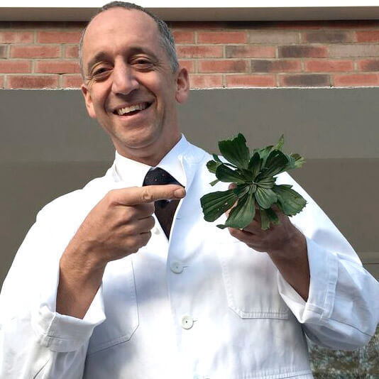 Homöopathie-Wissen aus erster Hand Homöopathie-Wissen aus erster Hand